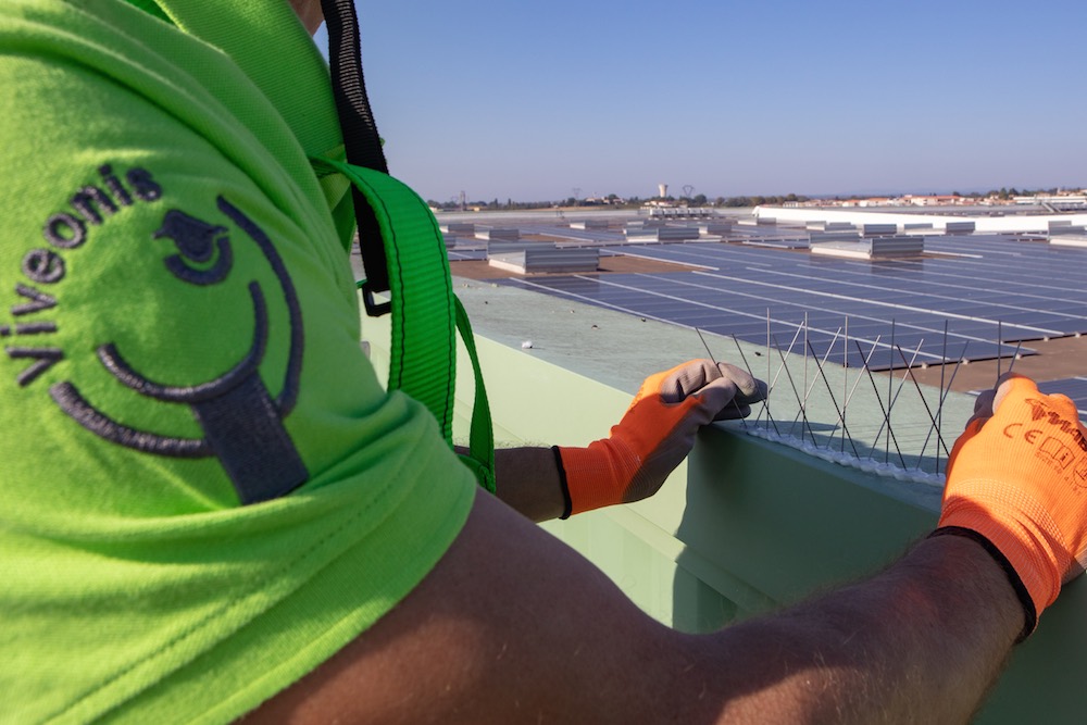 Solutions pour l’éloignement des pigeons et autres volatiles 4 Interventions - 3