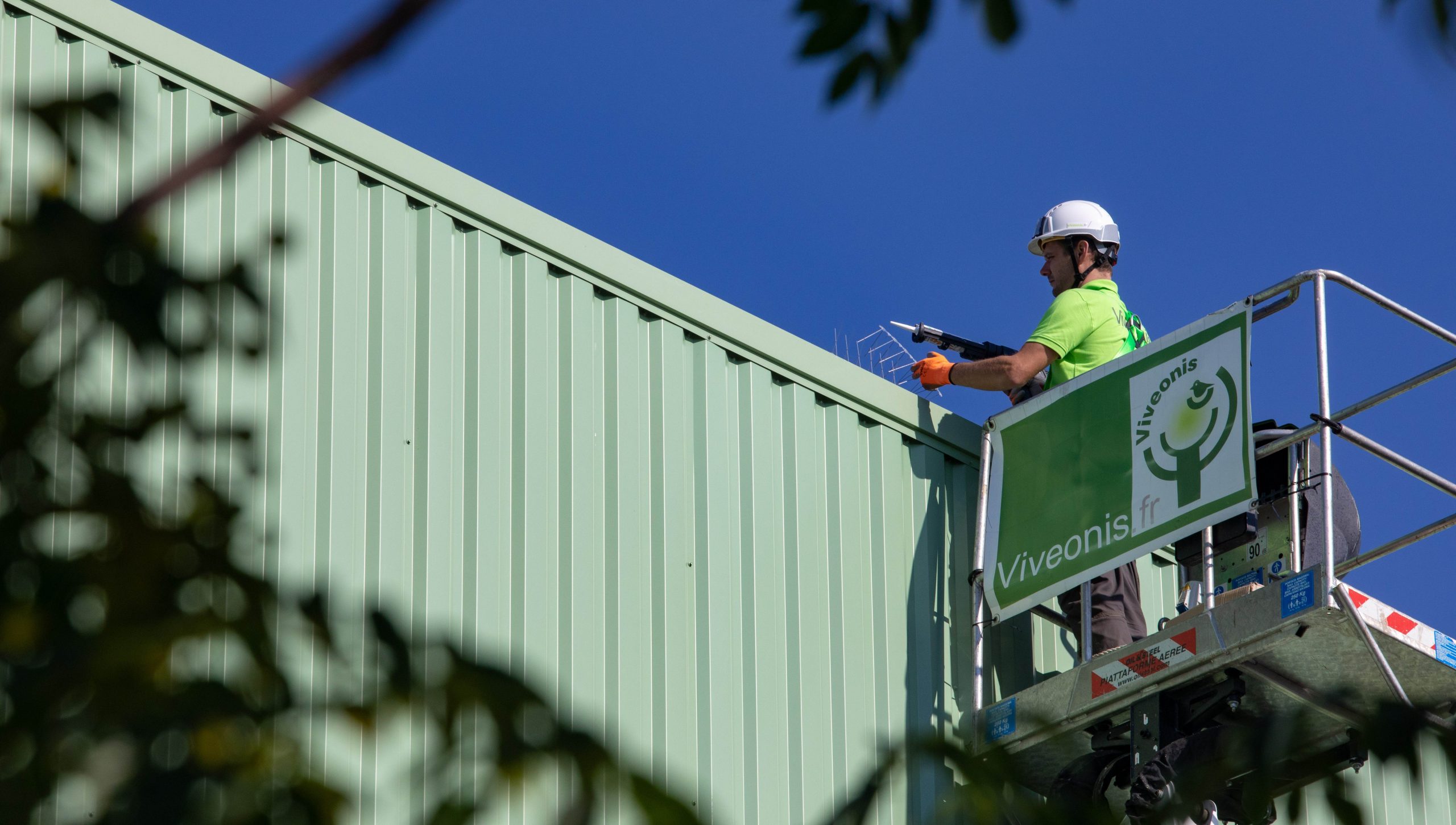 Solutions pour l’éloignement des pigeons et autres volatiles 2 Interventions - 1